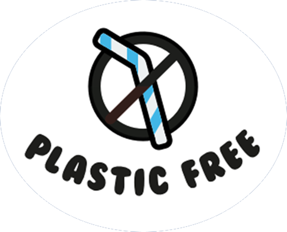 Nuud Plastic Free Chewing Gum - Chew Plants Not Plastic! – Nuud Gum